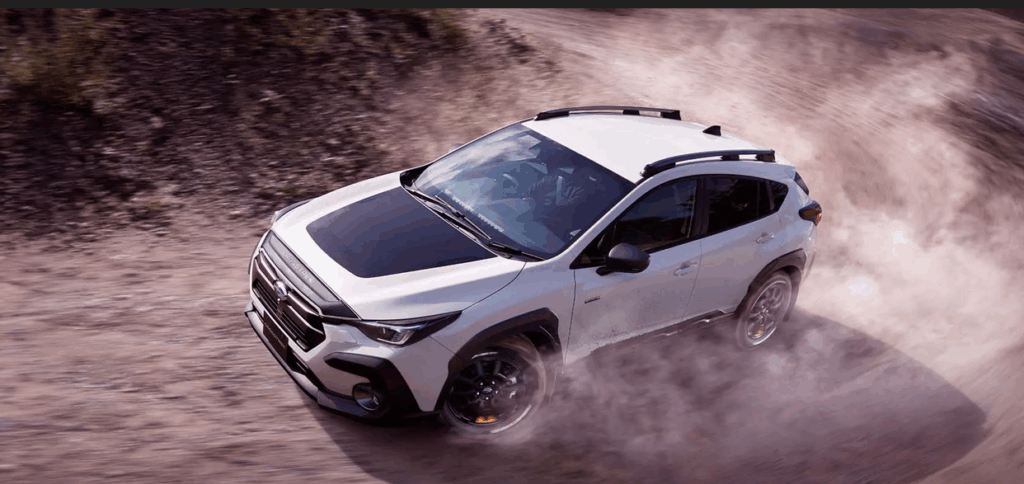 ウィルダネスWディション