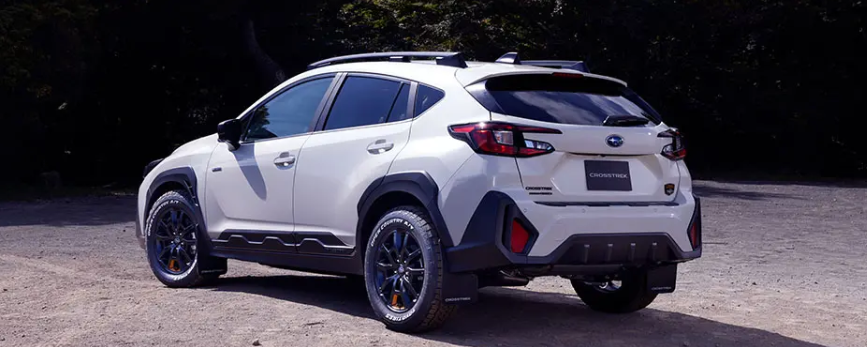 ウィルダネスWディション